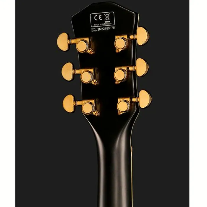 Larry Carlton L7V BK – photo 9
