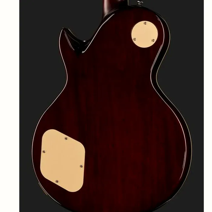Larry Carlton L7V GD Top – photo 7