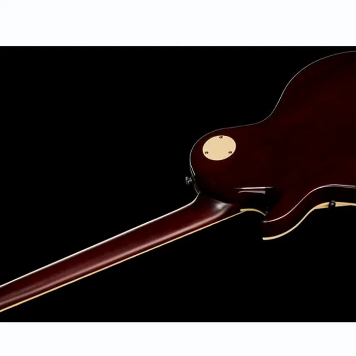 Larry Carlton L7V GD Top – photo 10