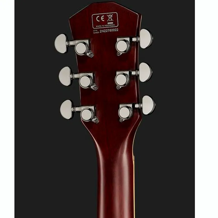 Larry Carlton L7V TS – photo 9
