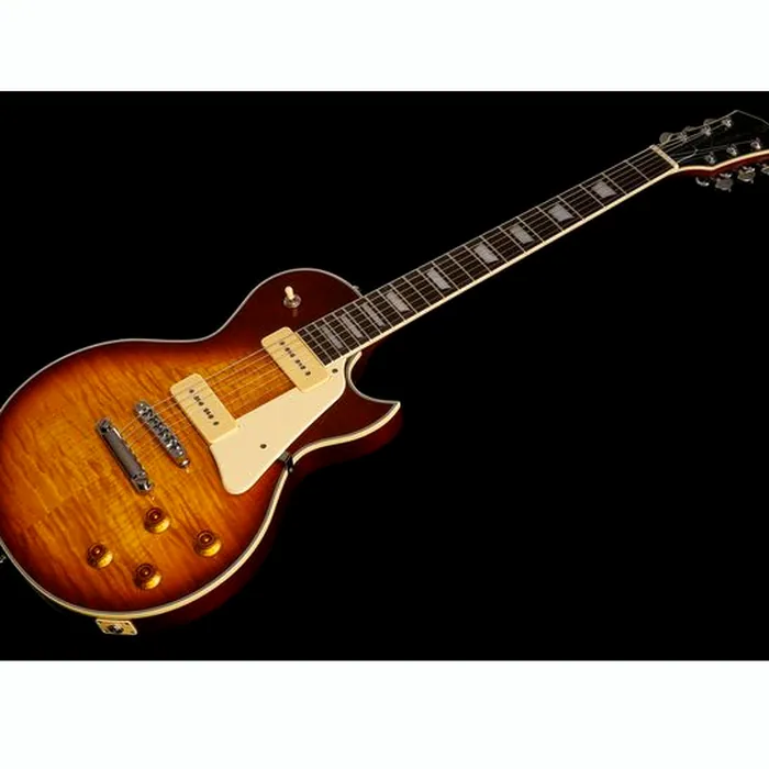 Larry Carlton L7V TS – photo 11