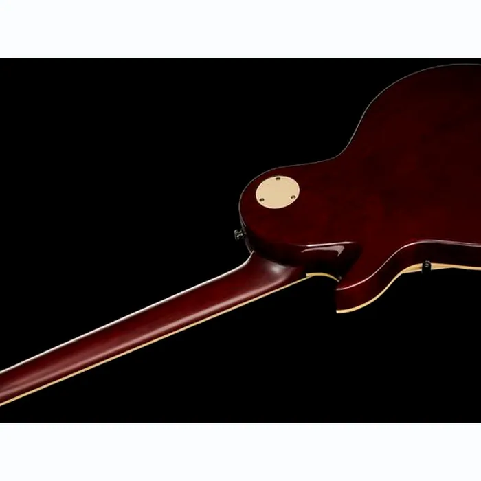 Larry Carlton L7V TS – photo 10