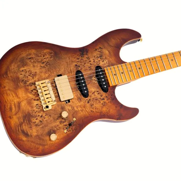 Larry Carlton S10 HSS Natural Burst – photo 6