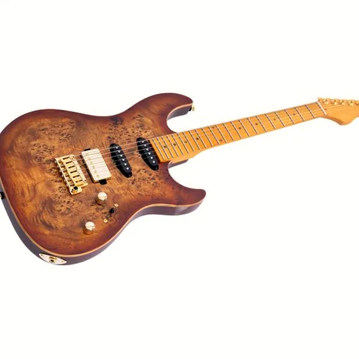 Larry Carlton S10 HSS Natural Burst – photo 5
