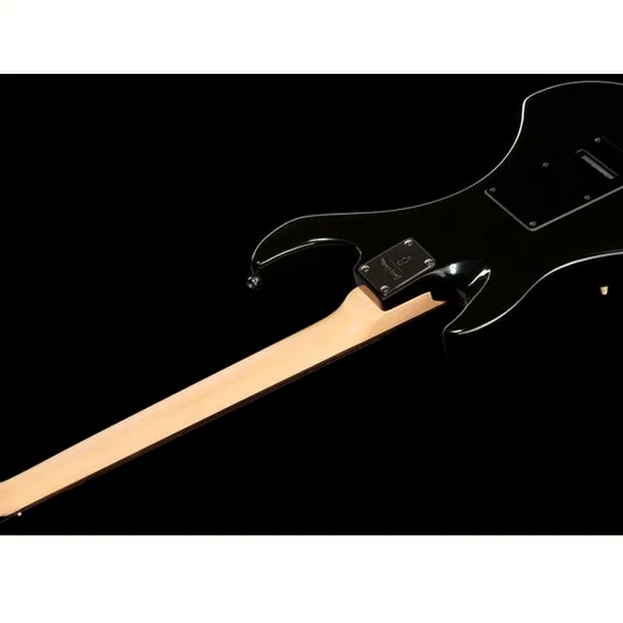 Larry Carlton S3 BK – photo 10