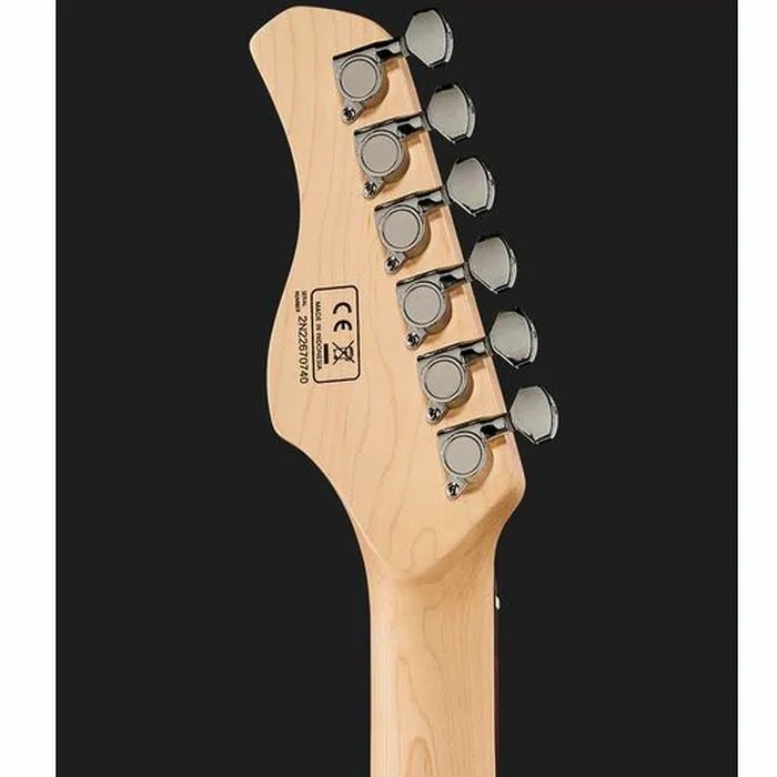 Larry Carlton S3 SNB – photo 9
