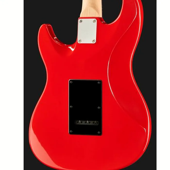 Larry Carlton S3 SSS DR – photo 7