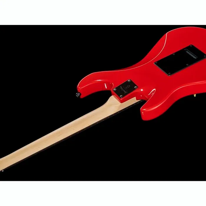 Larry Carlton S3 SSS DR – photo 10