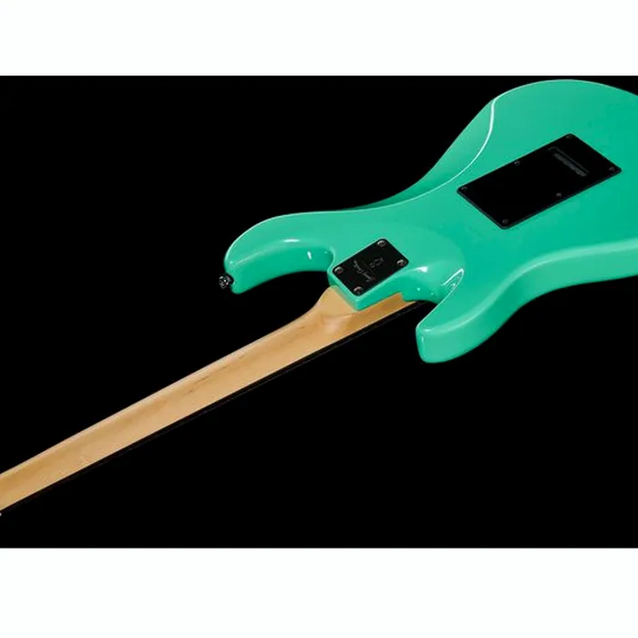 Larry Carlton S3 SSS MG – photo 10