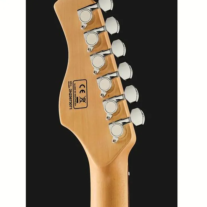 Larry Carlton S3 SSS MG – photo 9