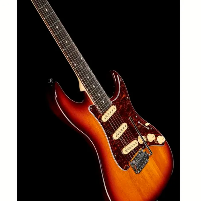 Larry Carlton S3 SSS TS – photo 12