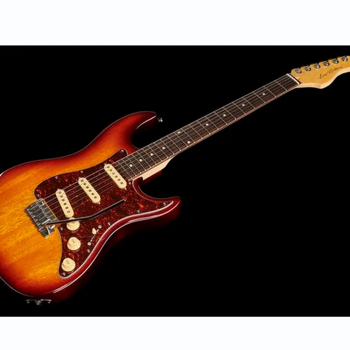 Larry Carlton S3 SSS TS – photo 11