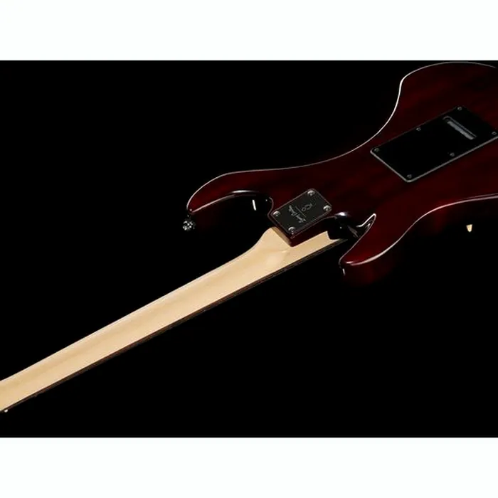 Larry Carlton S3 SSS TS – photo 10