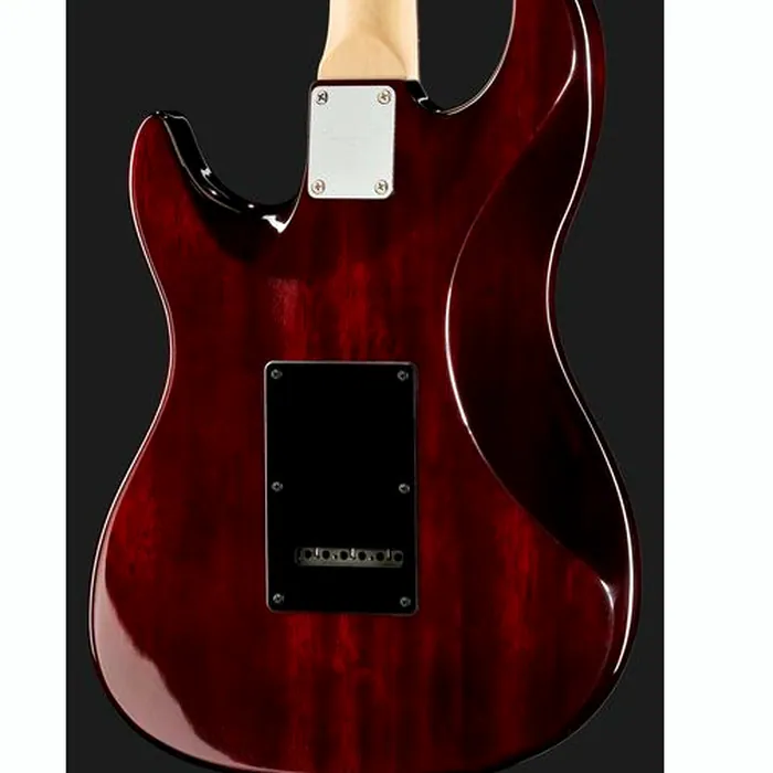 Larry Carlton S3 SSS TS – photo 7