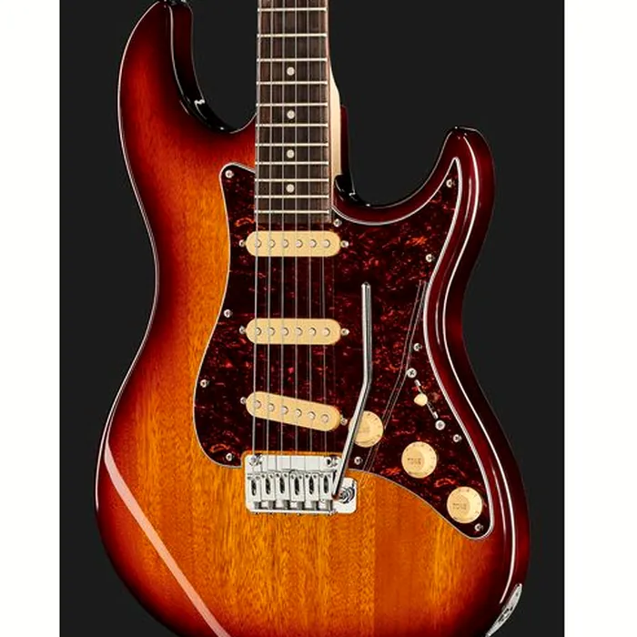 Larry Carlton S3 SSS TS – photo 6