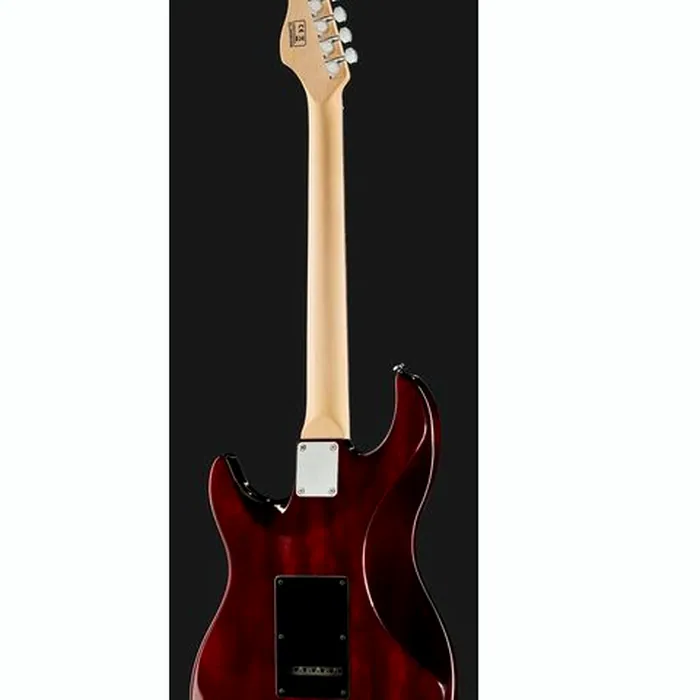 Larry Carlton S3 SSS TS – photo 5