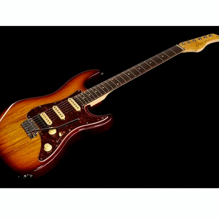 Larry Carlton S3 TS – photo 11