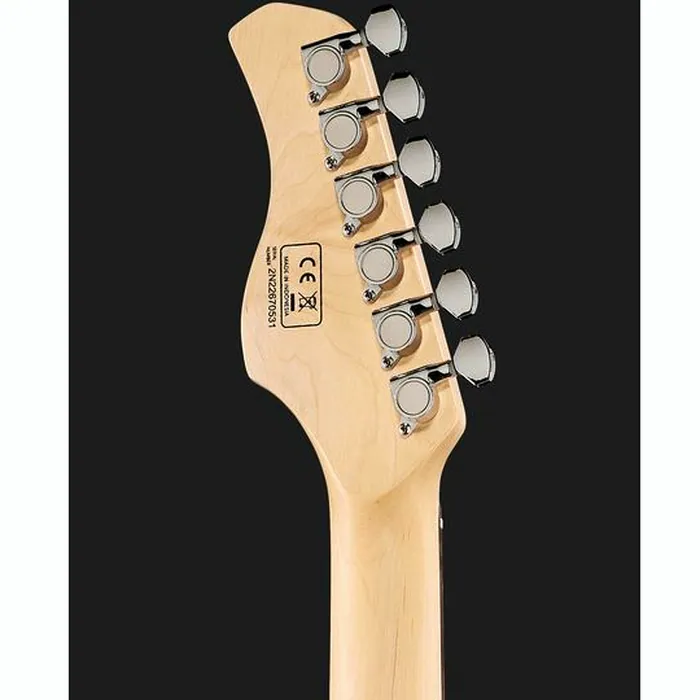 Larry Carlton S3 TS – photo 9