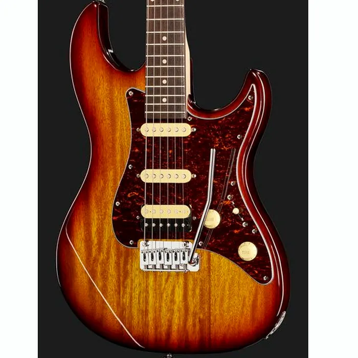 Larry Carlton S3 TS – photo 6