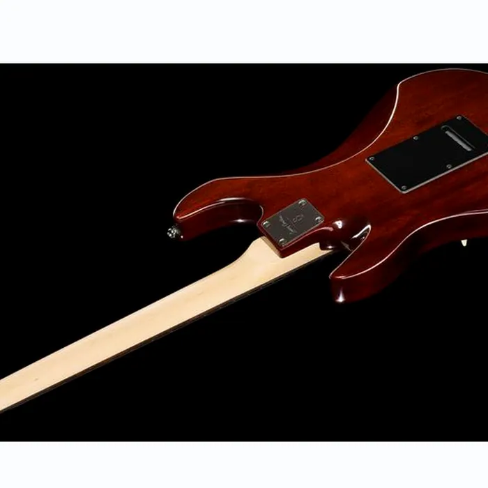 Larry Carlton S3 TS – photo 10