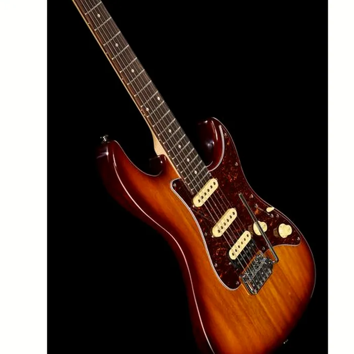 Larry Carlton S3 TS – photo 12