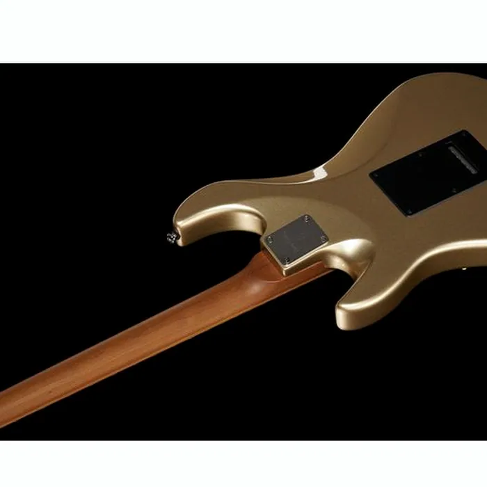 Larry Carlton S7 CGM – photo 10