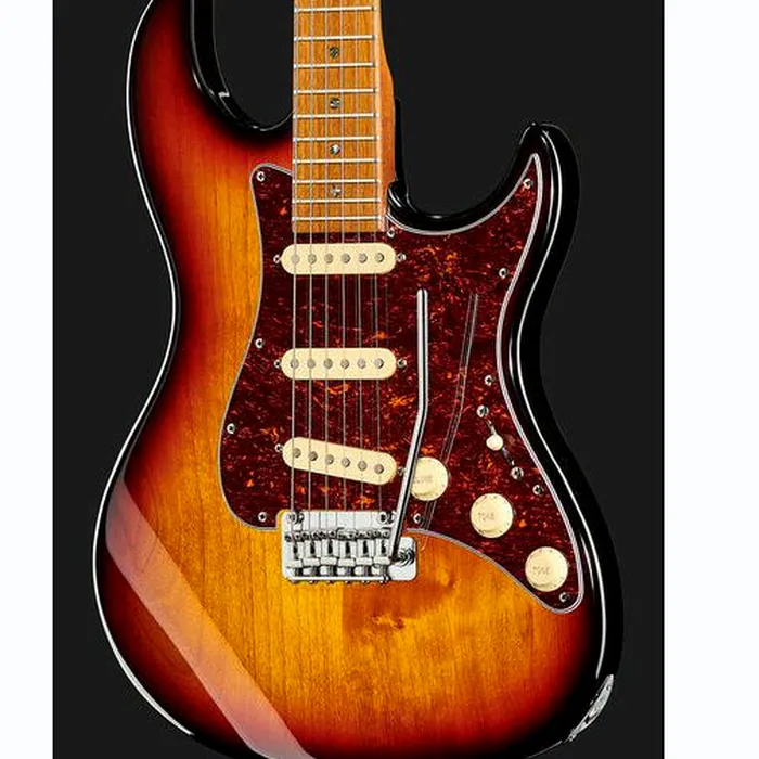 Larry Carlton S7 Vintage 3TS – photo 6
