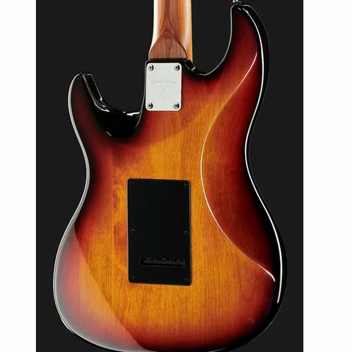 Larry Carlton S7 Vintage 3TS – photo 7