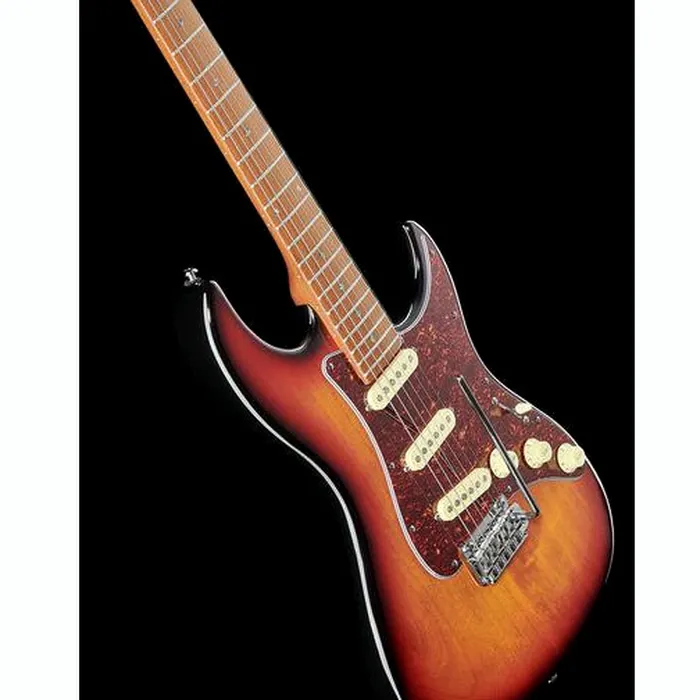 Larry Carlton S7 Vintage 3TS – photo 12
