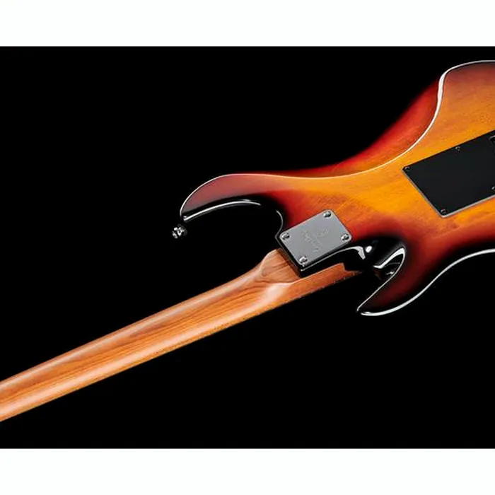 Larry Carlton S7 Vintage 3TS – photo 10