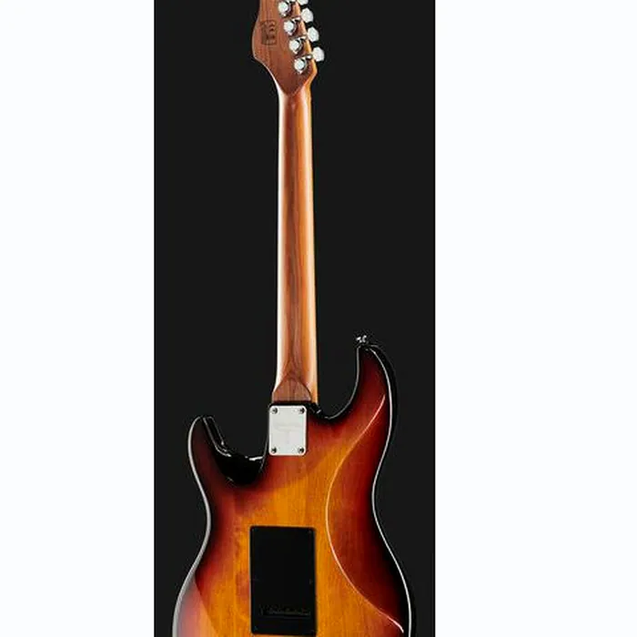 Larry Carlton S7 Vintage 3TS – photo 5
