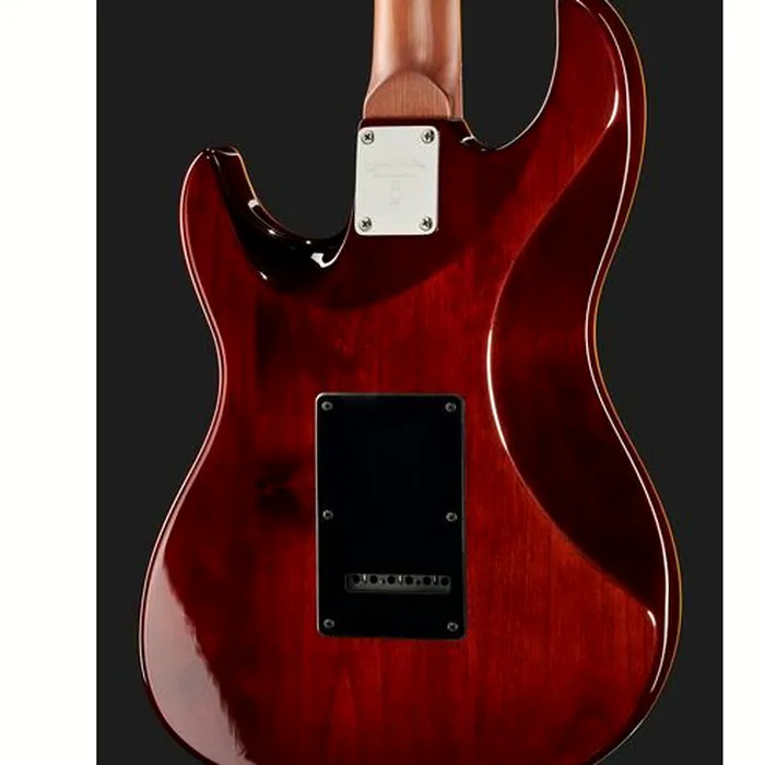 Larry Carlton S7FM NT 2nd Gen – photo 7