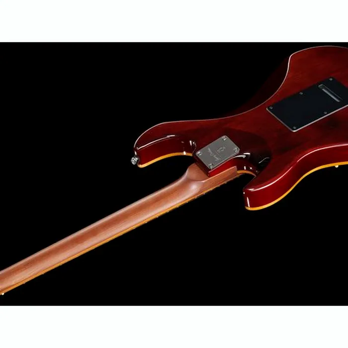 Larry Carlton S7FM NT 2nd Gen – photo 10