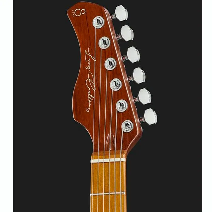Larry Carlton S7FM TBL LH – photo 8