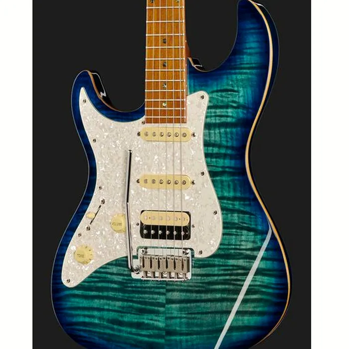 Larry Carlton S7FM TBL LH – photo 6