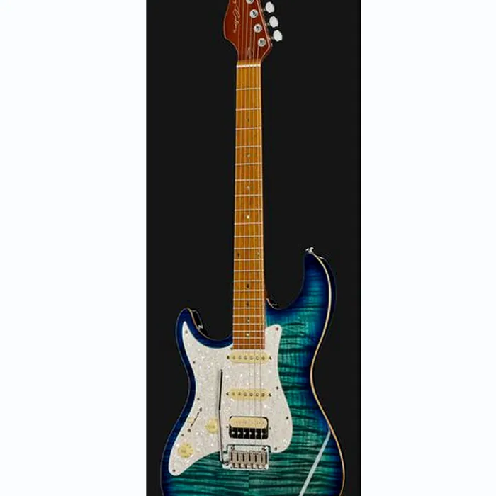 Larry Carlton S7FM TBL LH – photo 4