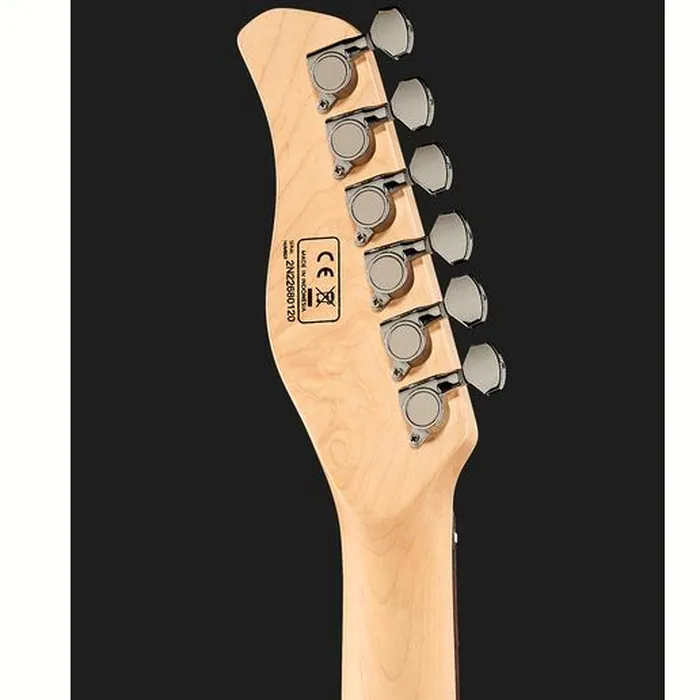 Larry Carlton T3 SNB – photo 9
