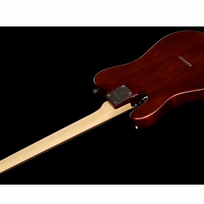 Larry Carlton T3 TS – photo 10