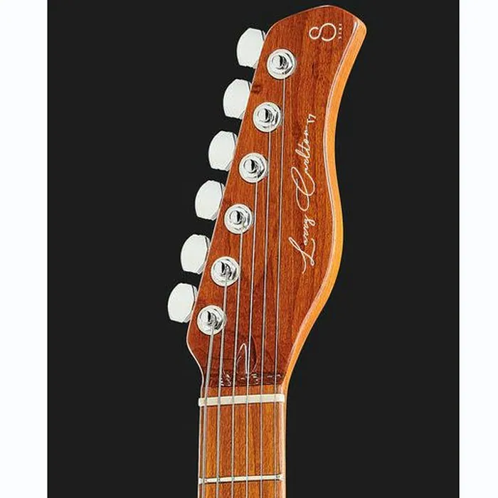 Larry Carlton T7 AWH – photo 8