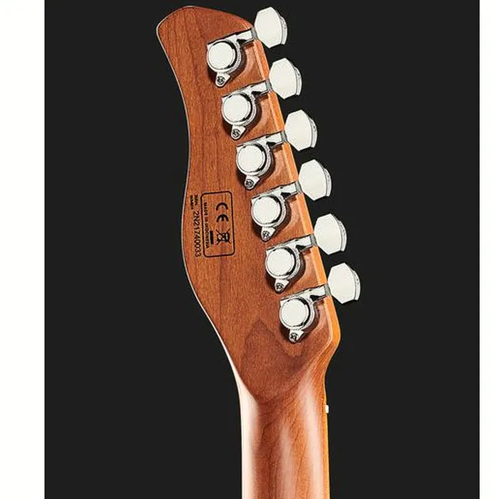 Larry Carlton T7 AWH – photo 9