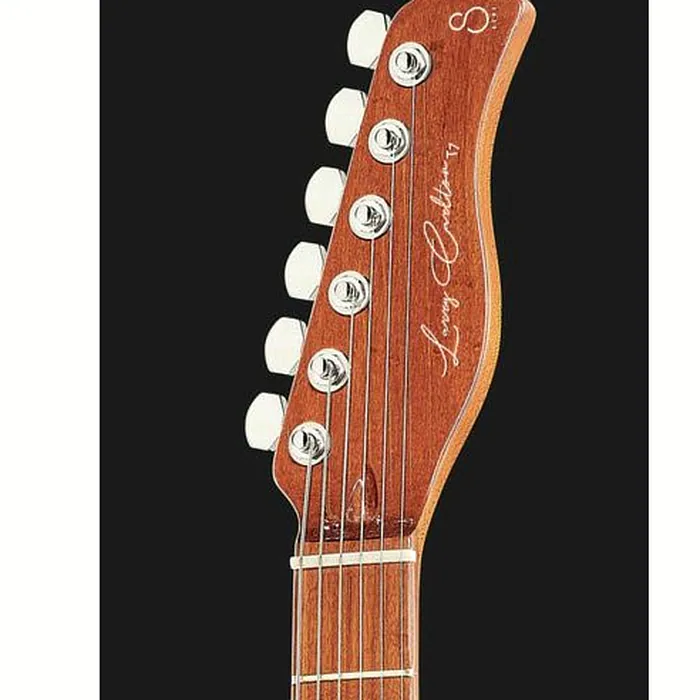 Larry Carlton T7 BB – photo 8