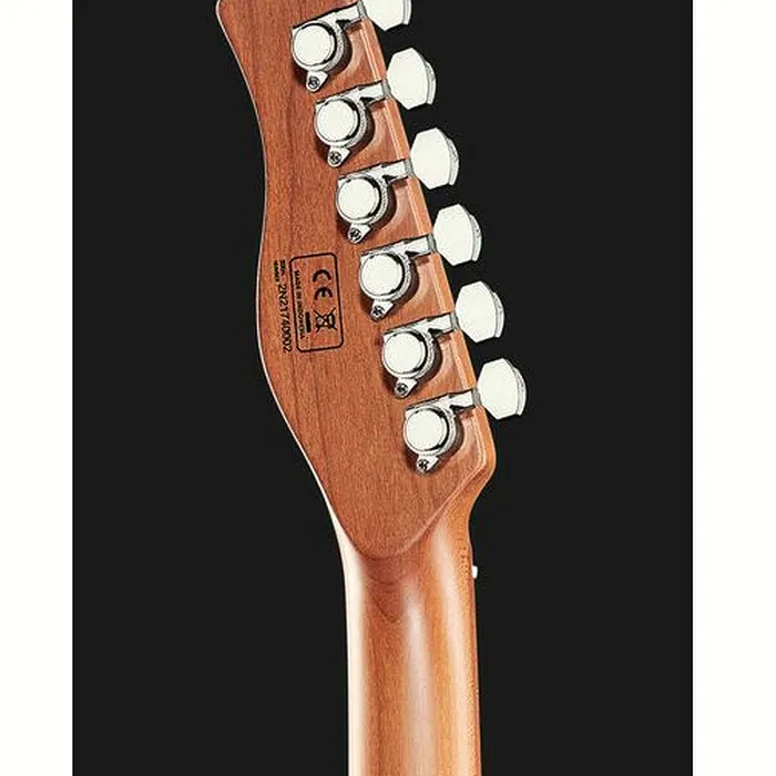 Larry Carlton T7 BB – photo 9
