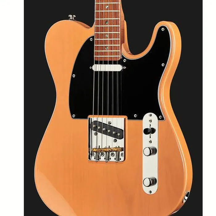 Larry Carlton T7 BB – photo 6