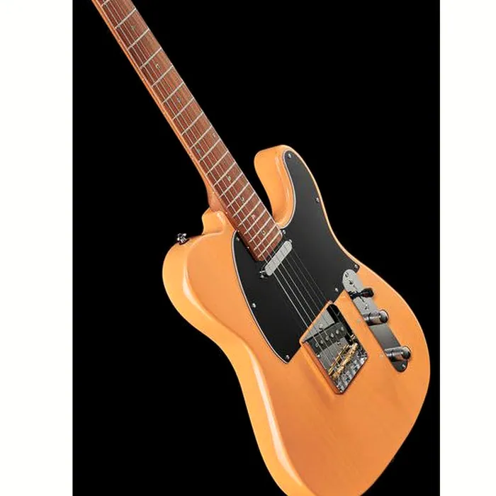 Larry Carlton T7 BB – photo 12