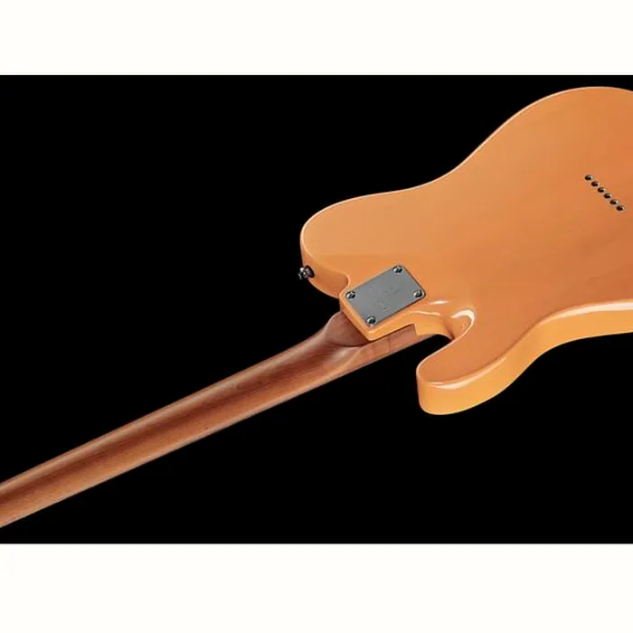 Larry Carlton T7 BB – photo 10