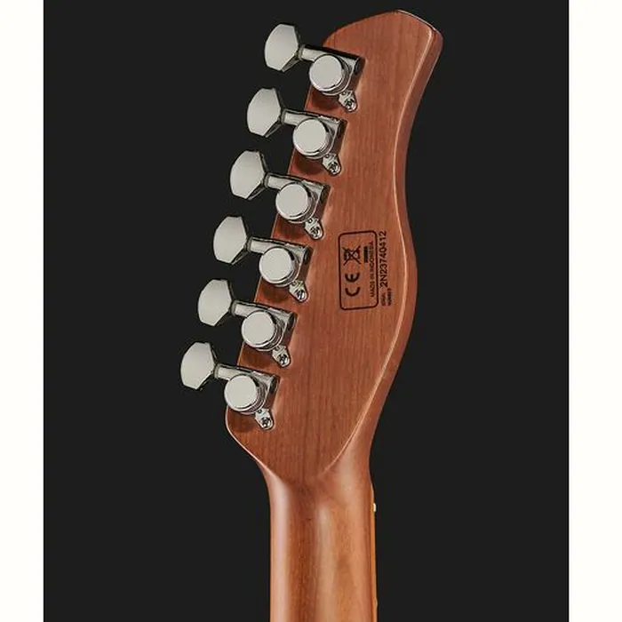 Larry Carlton T7 BB LH – photo 9