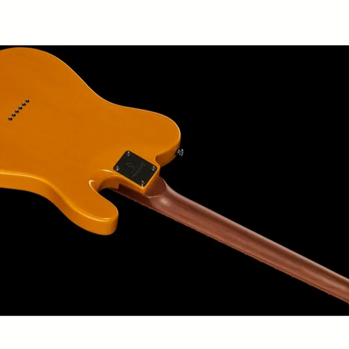 Larry Carlton T7 BB LH – photo 10