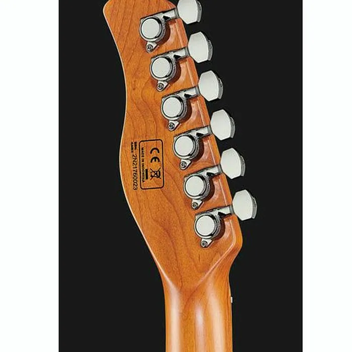 Larry Carlton T7 FM TBK – photo 9