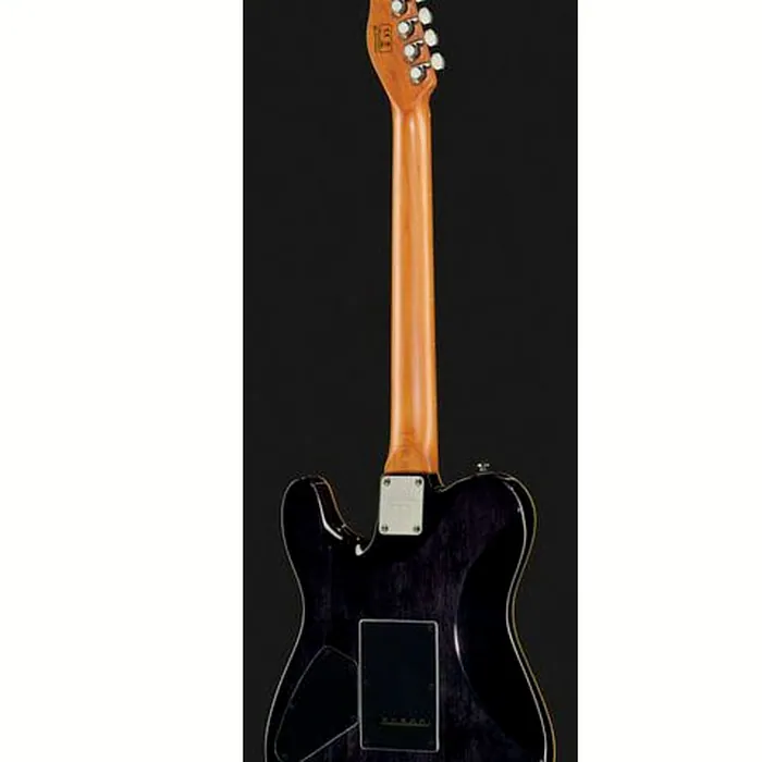 Larry Carlton T7 FM TBK – photo 5