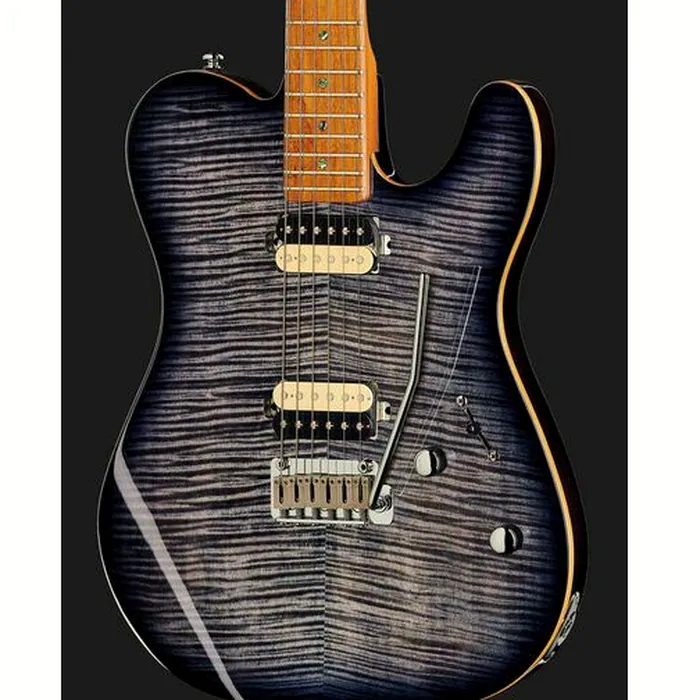 Larry Carlton T7 FM TBK – photo 6